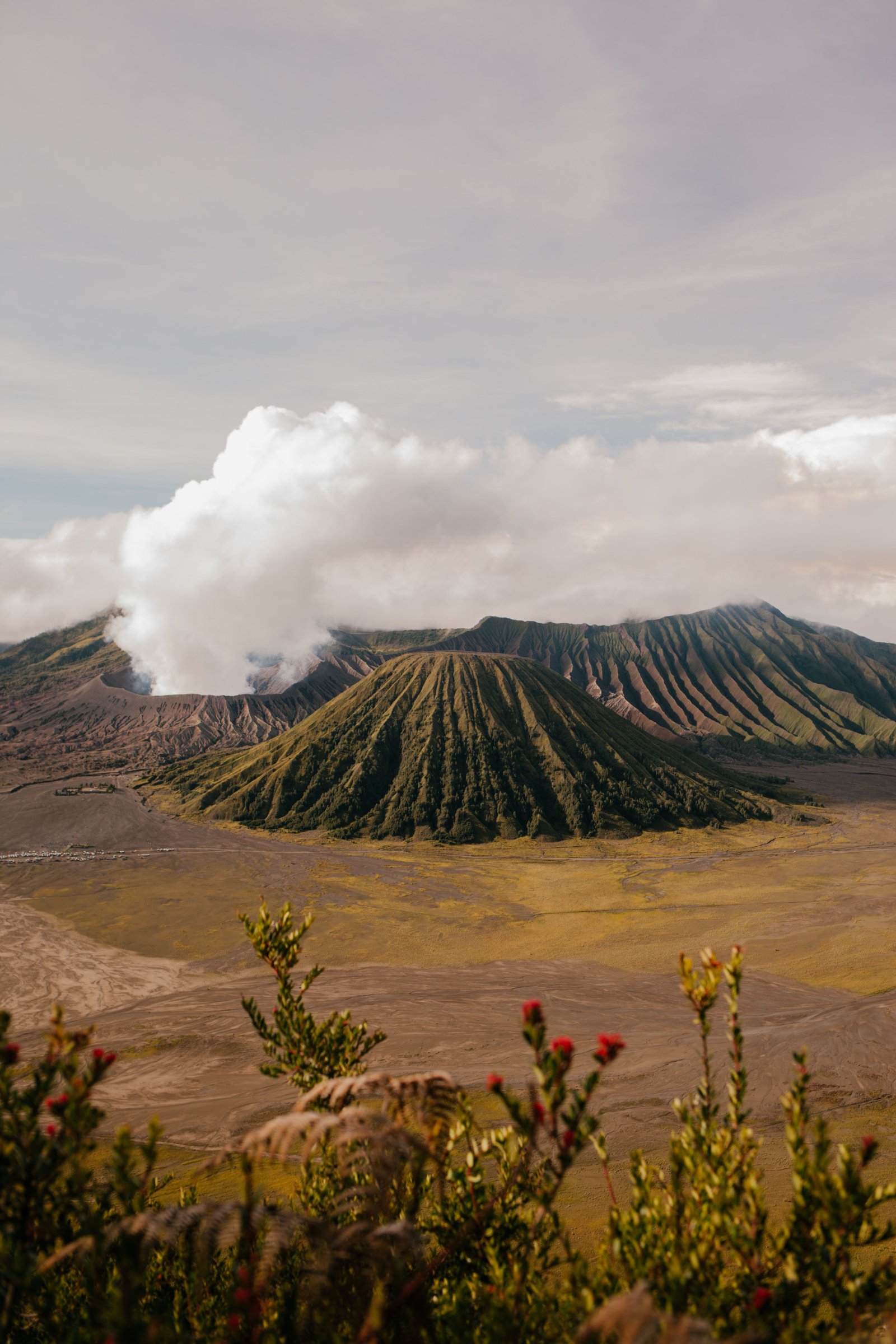 Open Trip Bromo